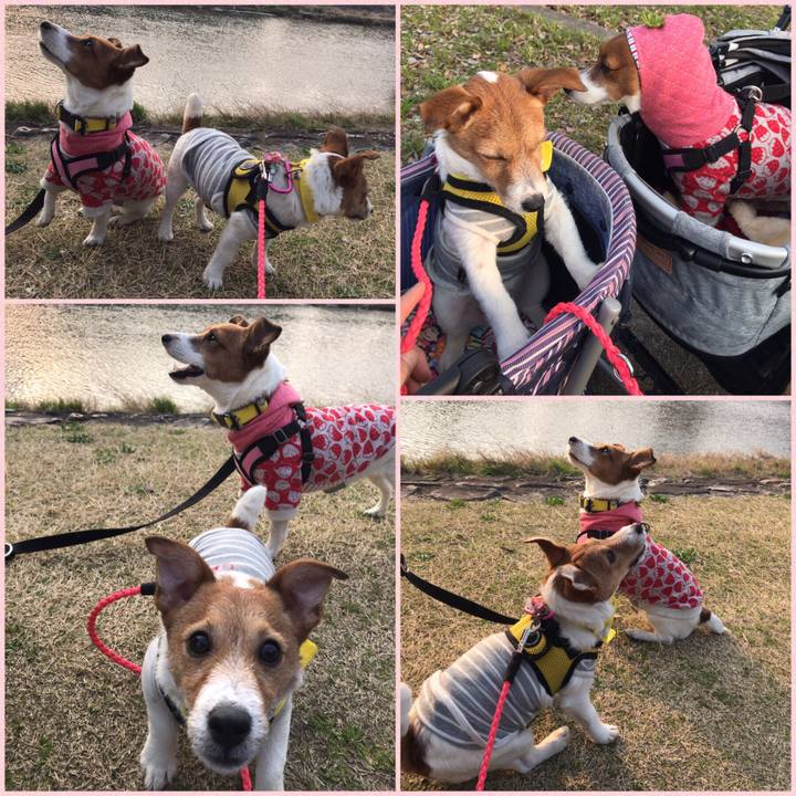 D1ba4ff0 1e53 4640 859a eda851b40e05 1553698533013