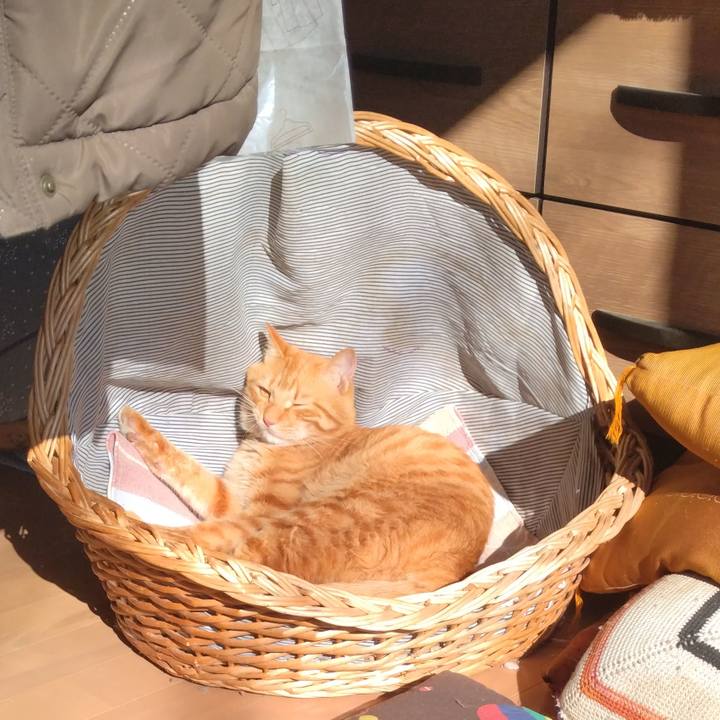 D1ba9a16 dd6e 493c 9b34 33fd04a6f11d 1668231089424