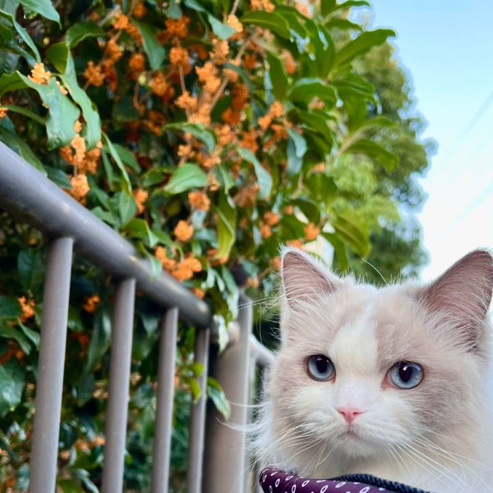 D1bb00e0 dddc 47ba ad05 e7d50b91fe7c 1664573221996