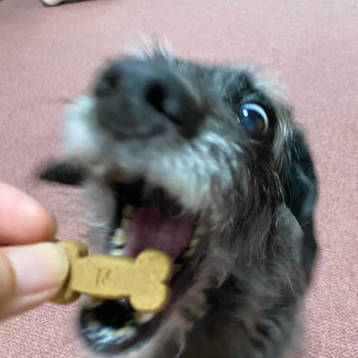 D1bb1d59 0b2f 417e 851d b1e10d501fbe 1659741340675