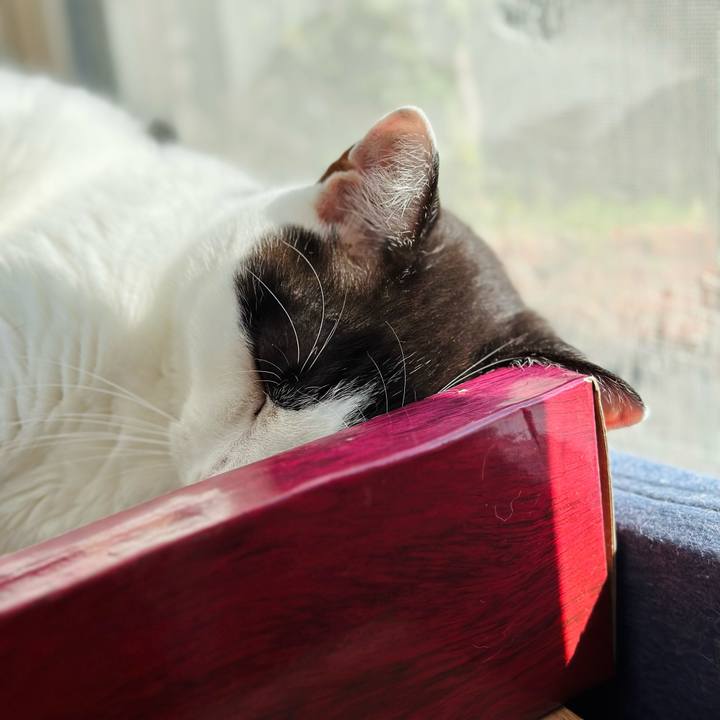 D1bb2544 3f0a 45a3 b4fd 0b239cde2ed7 1666494814000