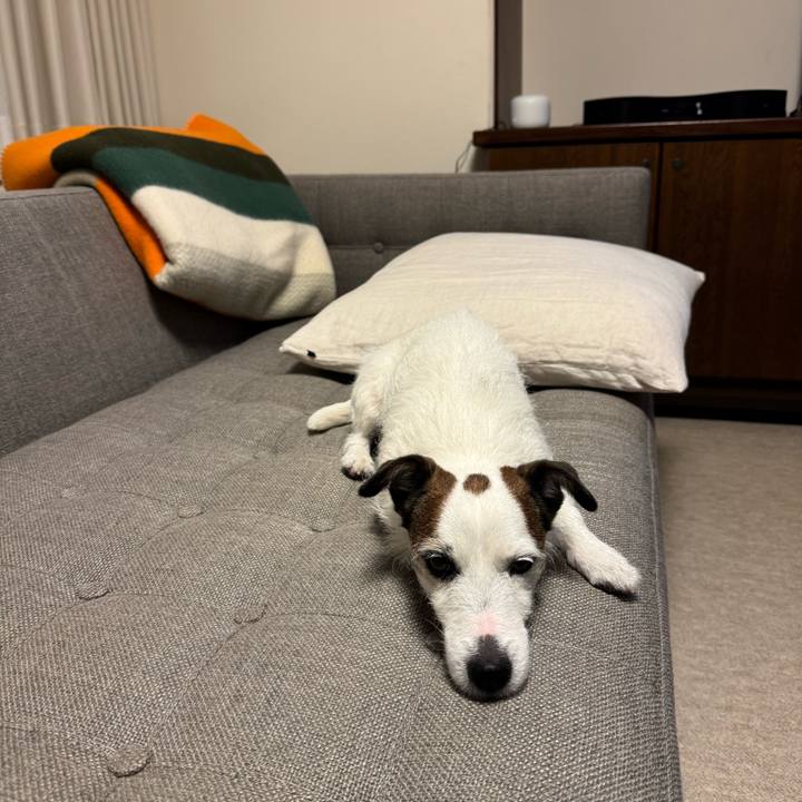 D1bb2f69 e4de 41eb aa0f 1fea42cf5e68 1768120557853