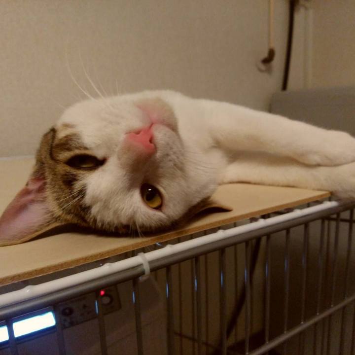 D1bb3310 c77a 49de 9aca a359e1b8e20b 1646485308328