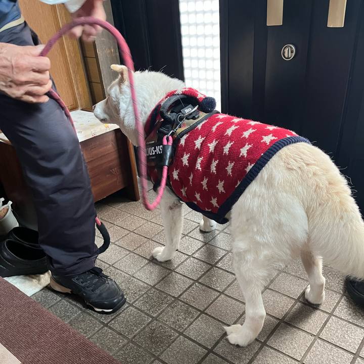 D1bb52c6 08a1 40d7 aa90 2cc9ee63a8d9 1768697250897