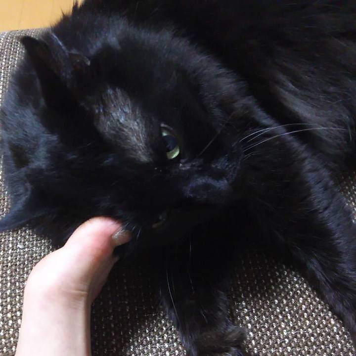 D1bb697a d739 48c7 bd52 97b515db1c95 1522069095361