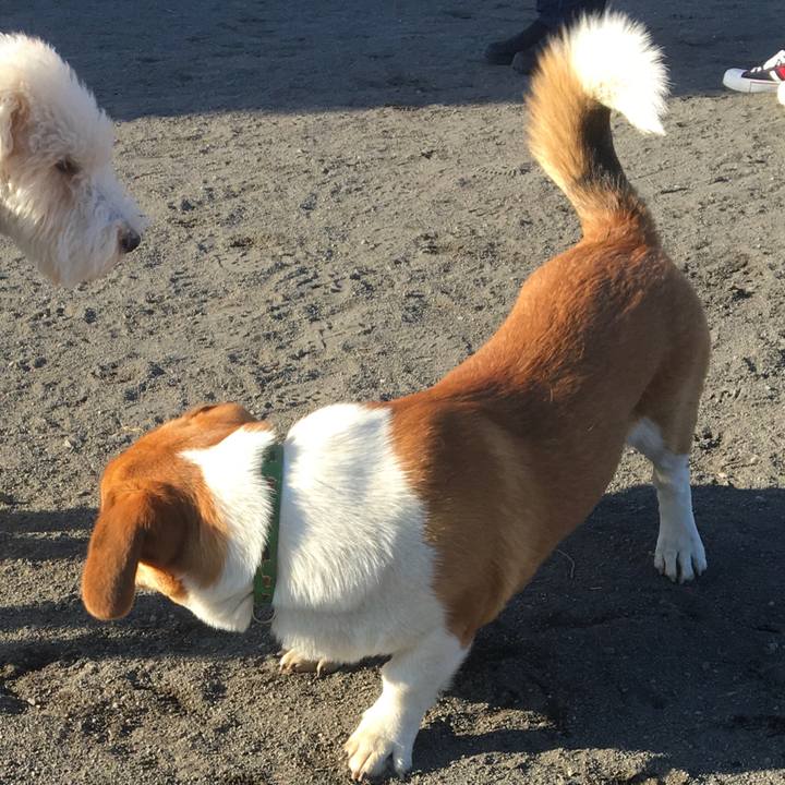 D1bb7c62 88cb 4750 aad2 b87bf2aa85fc 1613142628065