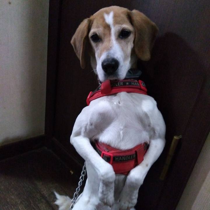 D1bb9fce 92ca 41e6 a8fc 3812688908ba 1707638413455