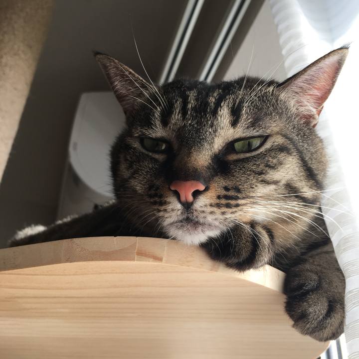 D1bbede5 8d72 487e bee9 772eb522d153 1583880758360