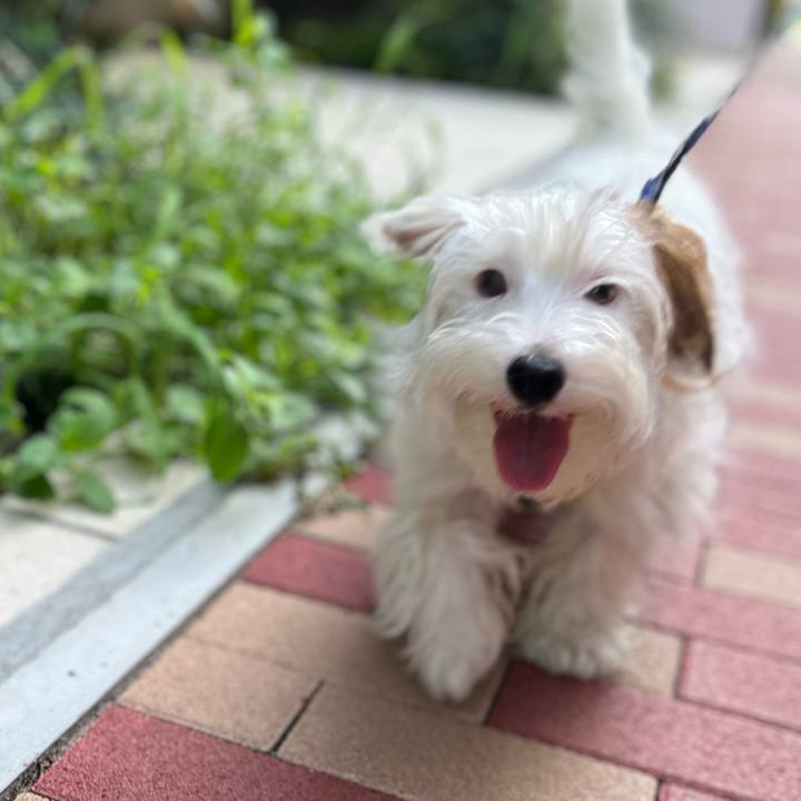 D1bc4d6a da11 40c4 919f 7e8820bd9988 1754700436185