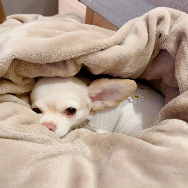 D1bc638e b676 4671 b5cb 288fabd4147c 1722254475086