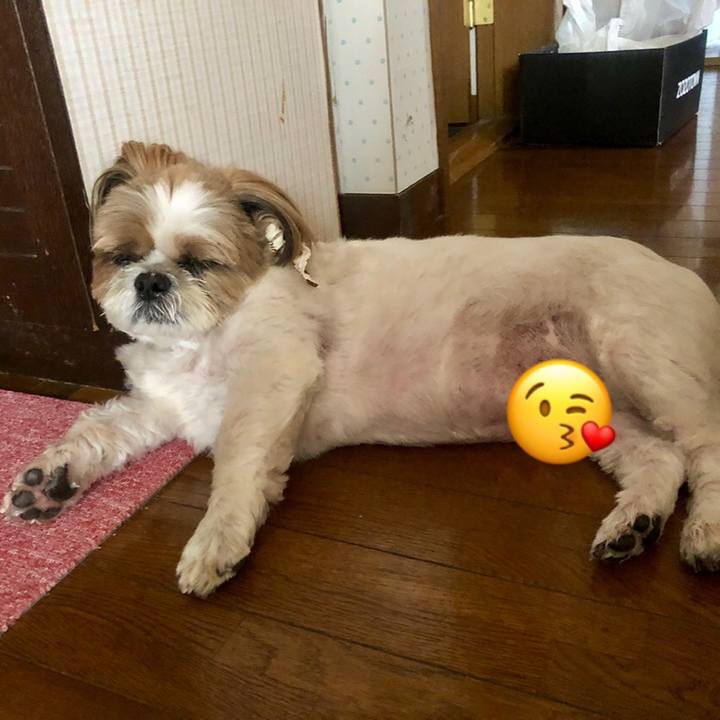 D1bcc499 d2d6 445f a2a1 49383ec9738c 1566091361663