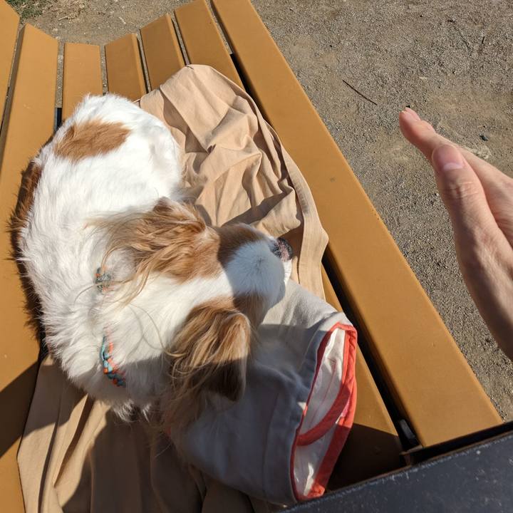 D1bcc883 5702 4020 8af1 4fd73fbcd936 1678256998520