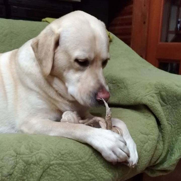 D1bcd1ec 3ef6 486c a220 35dc46703309 1544321783409