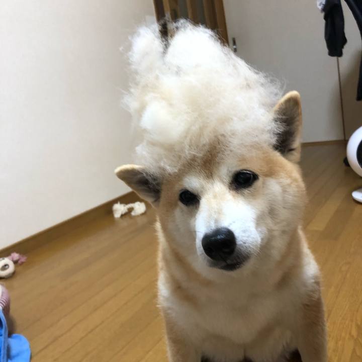 D1bcd75a 0fbd 4e47 943a 9c3ae57e522c 1594353553031