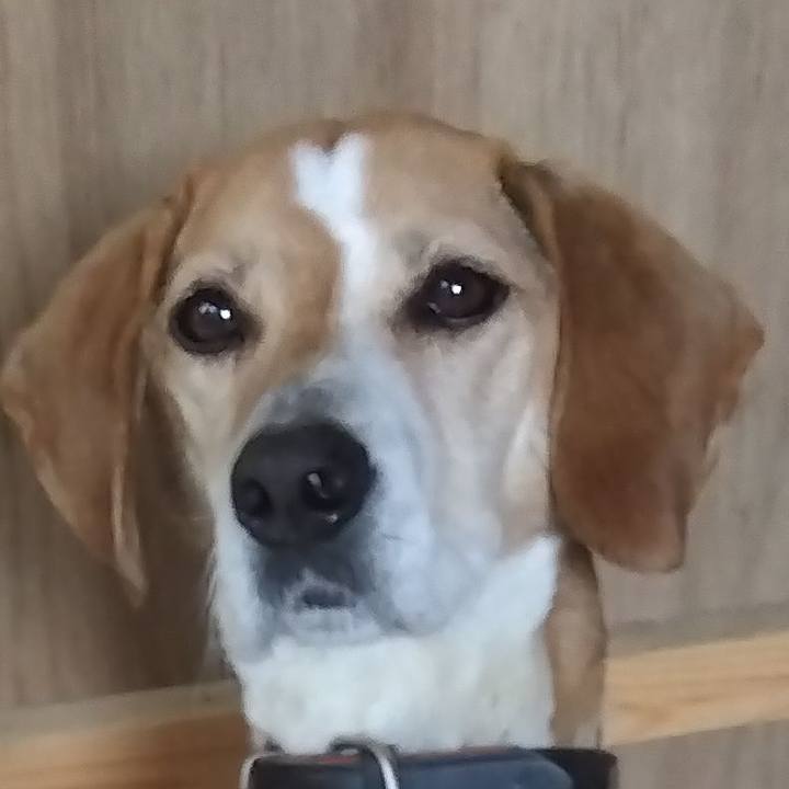 D1bcffcb 860d 4cc1 9d81 92008a27c3ab 1682916694986