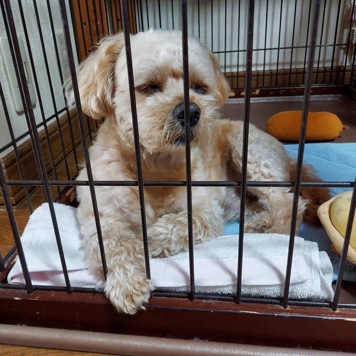 D1bd1a76 b496 4dc2 88b3 b94475318ccf 1626920789851