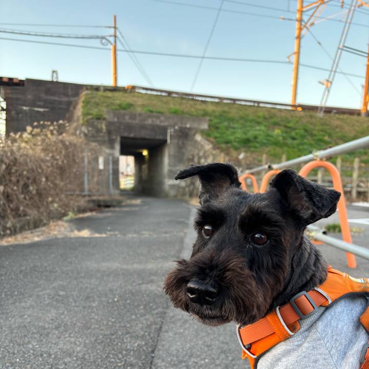 D1bd2376 e91e 45df b6ea 2a98d93daa16 1763863617493