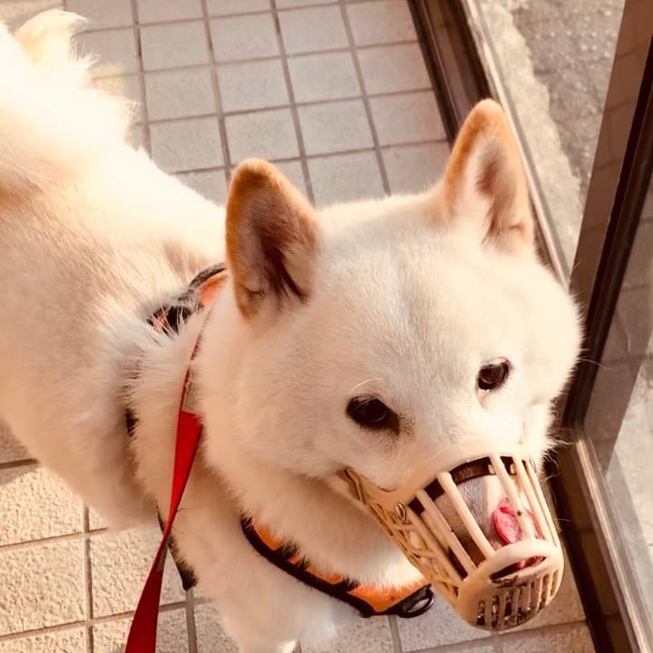 D1bd8f17 7808 4d31 87f4 797084dc2efd 1619470995208