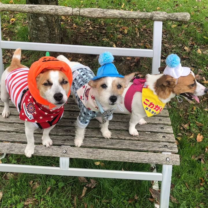 D1bda32c 2e66 48d6 9970 a6f9db04c69a 1569160740724