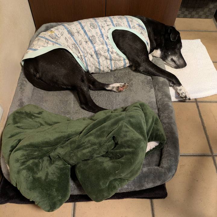 D1bdf11e 6d02 40c5 81fc fc3b516b3ef4 1772152188608