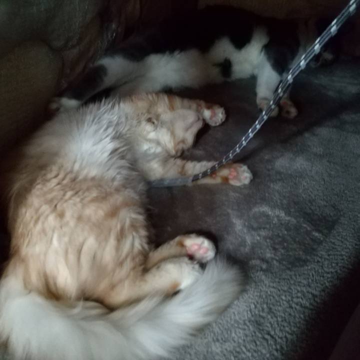 D1be0216 53b2 4c54 8e0c 5a19f458ff51 1609228626950