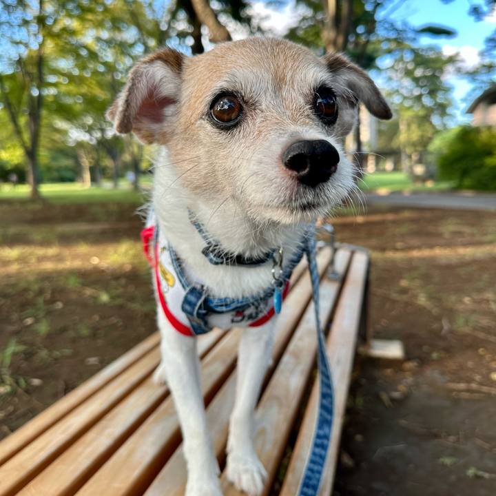 D1be0550 a20e 4dbd b2af ea7a4156dafc 1694259914076