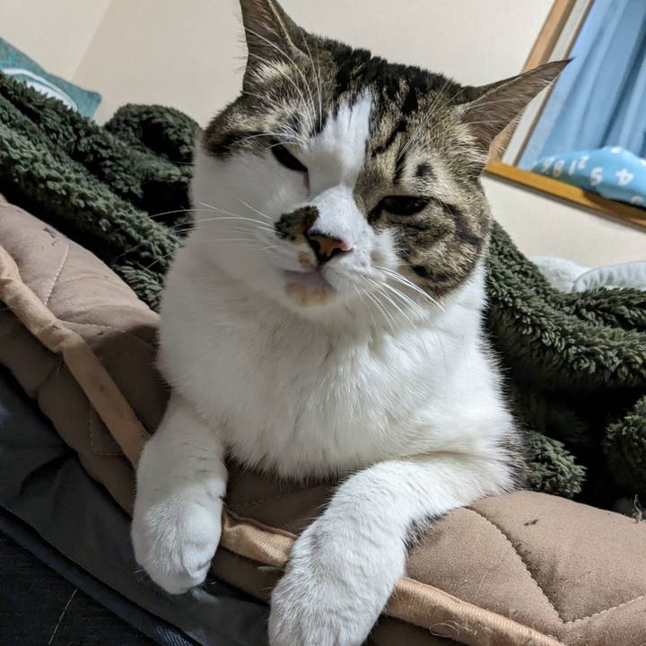 D1be191d b0cf 4b5d 9c50 cfd3b69d8514 1702174346028