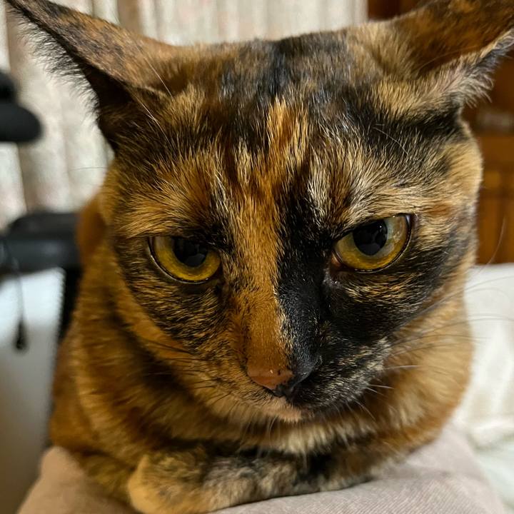 D1be618a 17cc 4736 ae66 e4afc61b6d2e 1670663243867