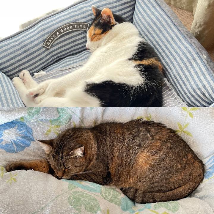 D1be646d 07f8 4038 bd35 00370784ed0c 1615764382924