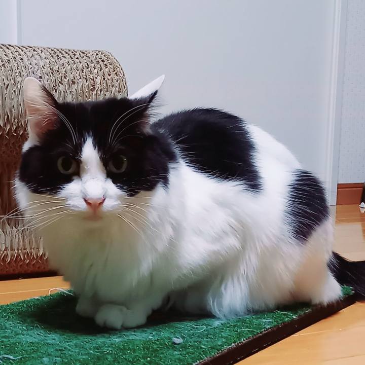 D1bee6cc 9430 4a73 948f eba994026a3d 1643793683684