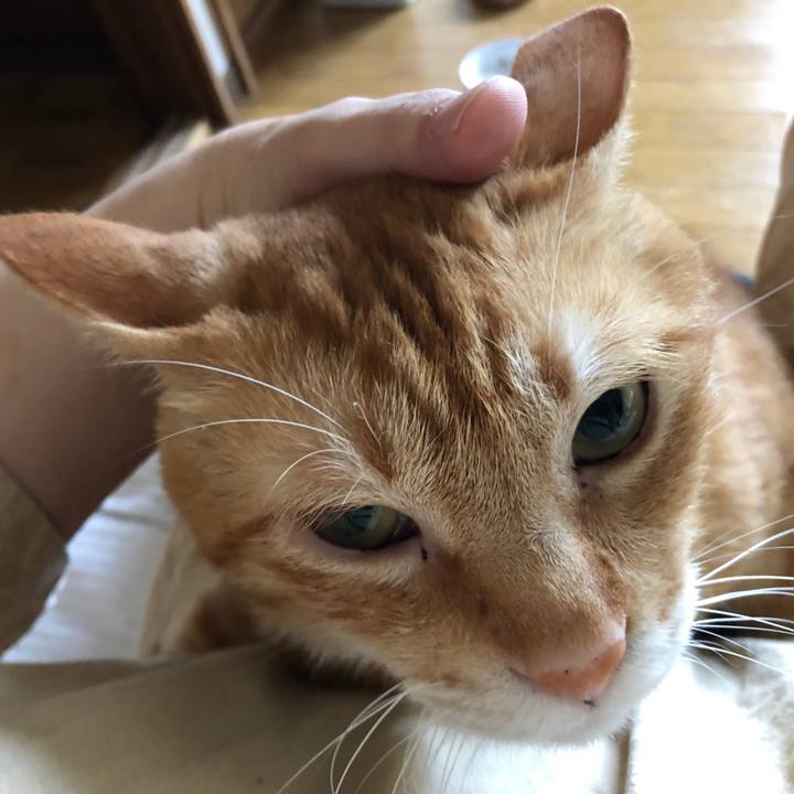 D1bee902 7e54 4aed 948d 4c1b4bf7a09a 1599688819113