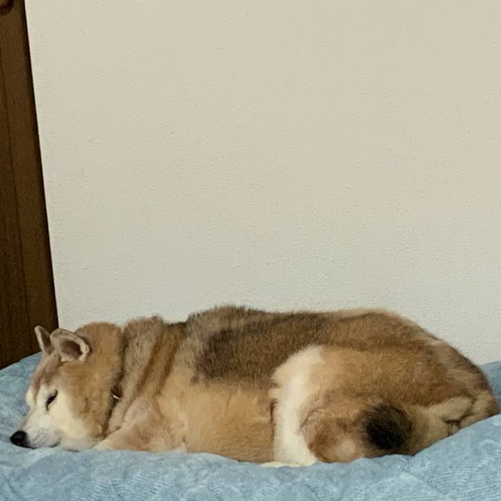 D1beff78 fde6 4d5c 9738 3a2ec65f3ff8 1634990872074