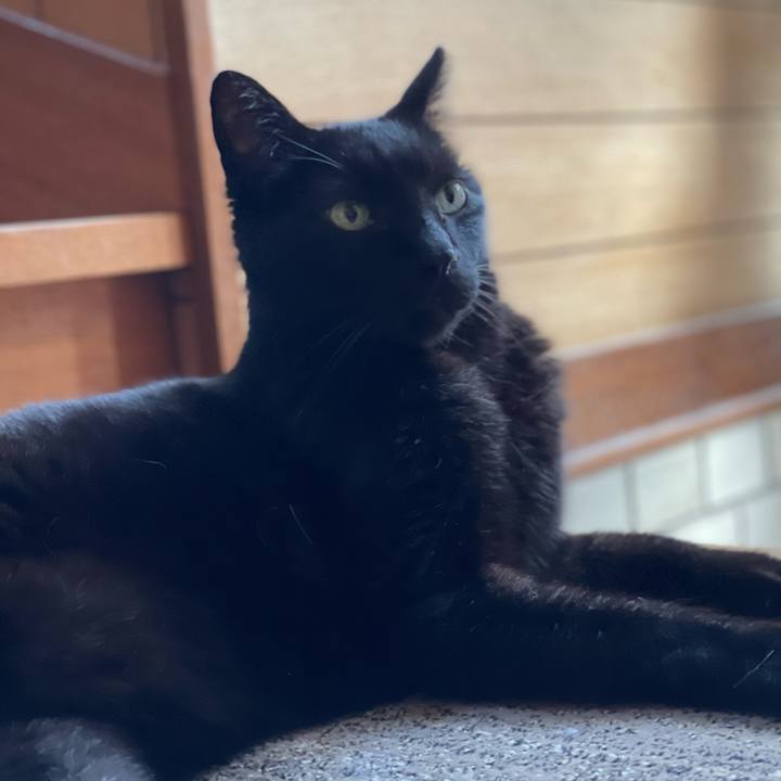 D1bf0de2 807e 4377 ba25 035bef7be301 1653012245392