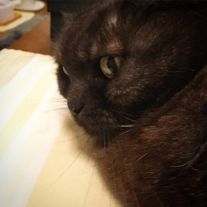 D1bf1790 9fda 46e1 8a7b 8ad9b0344d3f 1556028065932