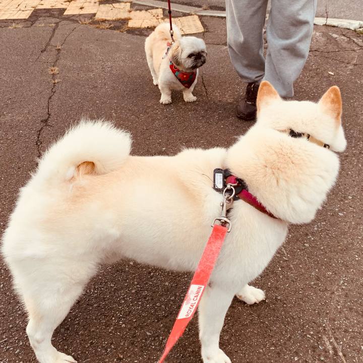 D1bf4f6b 8e0d 427b b79c 3edc6b159567 1602630115695