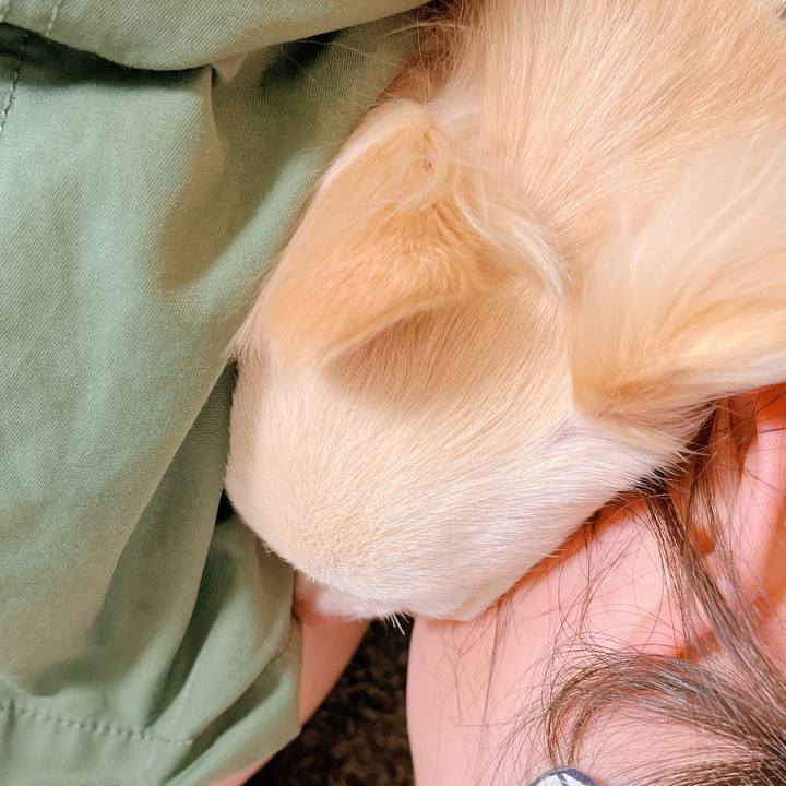 D1bf6f10 c172 4726 9cc1 2ff183cafcea 1658118709352