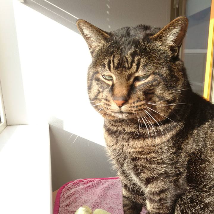 D1bf7b78 d4be 4d51 8258 377ee8538e20 1516875179090