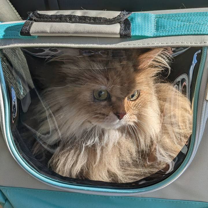 D1bfd205 b030 4df7 9bf2 0471773769a6 1676513916138