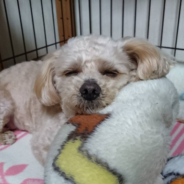 D1bfd982 af0c 471a 89f4 8d630575a1bc 1586864580915