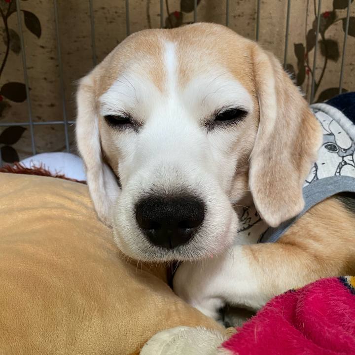 D1bfdec6 9374 458f ad1c 3694af653af3 1588054588564