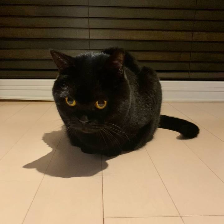 D1bfe5c8 ef17 431c b424 22310eba9579 1699961127033