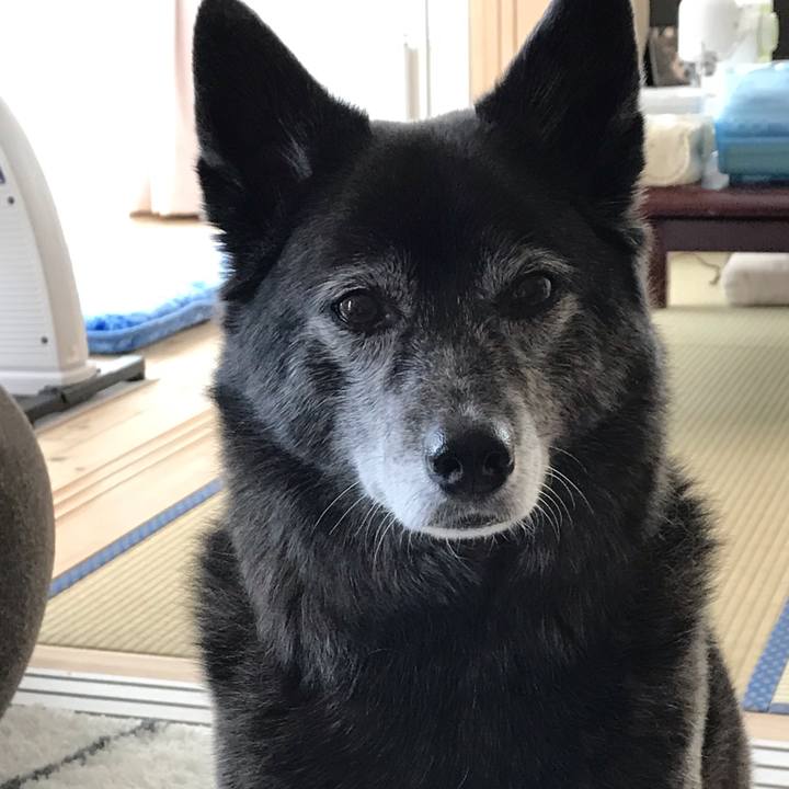 D1bff6fb 4cee 47fd bfe9 f684a2f1059d 1588848735059