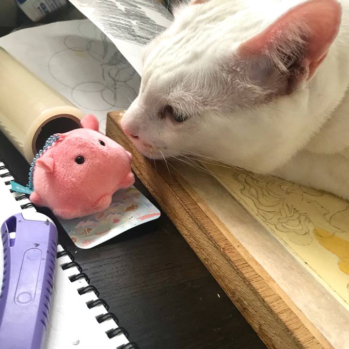 D1c00e96 d4ce 416f 8c31 0d1bb8bce59d 1569207493081