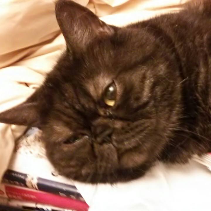 D1c02a63 79af 4154 a4c5 c42d5103bd0b 1535891189471