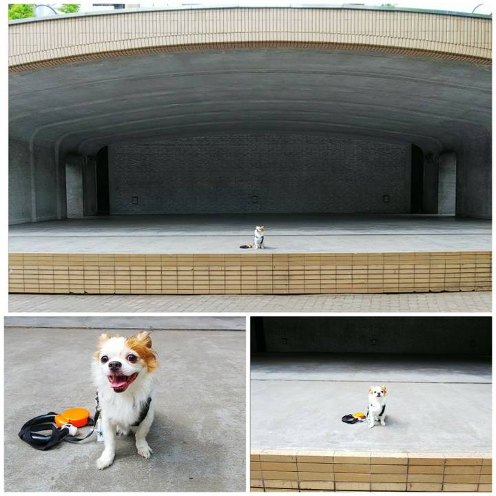 D1c060ac 27ee 48a5 b9fd 2d22bc68192b 1527659631323