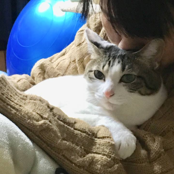 D1c08224 bac2 4b8e 965f eb14ae6ab247 1516945408341