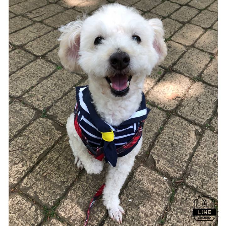 D1c0aecc fcca 4e8c 8a05 a046177bfe07 1526480462144