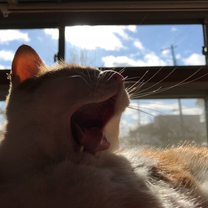 D1c0ce52 72e0 440f 9563 253470a8266f 1512786733011