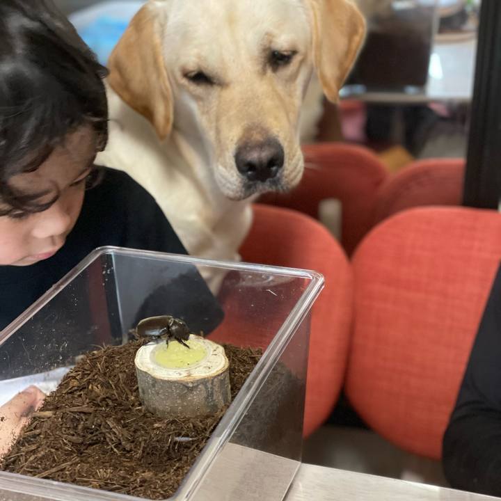 D1c1010c 728d 4040 b3df 7f8563c1663b 1656322384891