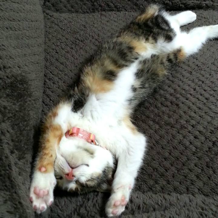 D1c10429 80fc 406a a3b8 950e7e647c43 1558741763941